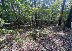 0 Lot 39, Tomaro Trail, Poplar Bluff, Missouri 63901, ,Land,For Sale,Lot 39, Tomaro Trail,MAR24058295