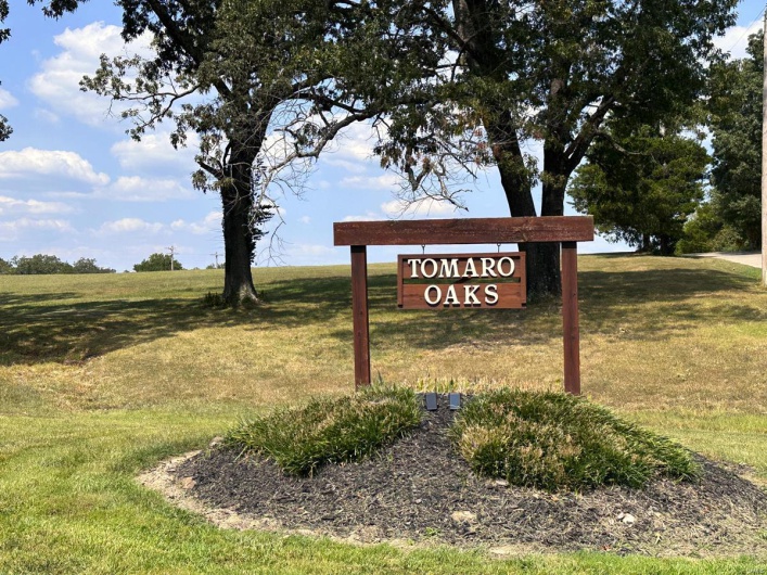 0 Lot 39, Tomaro Trail, Poplar Bluff, Missouri 63901, ,Land,For Sale,Lot 39, Tomaro Trail,MAR24058295