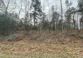 0 South Side of Ginger Street, Poplar Bluff, Missouri 63901, ,Land,For Sale,South Side of Ginger Street,MAR23012052