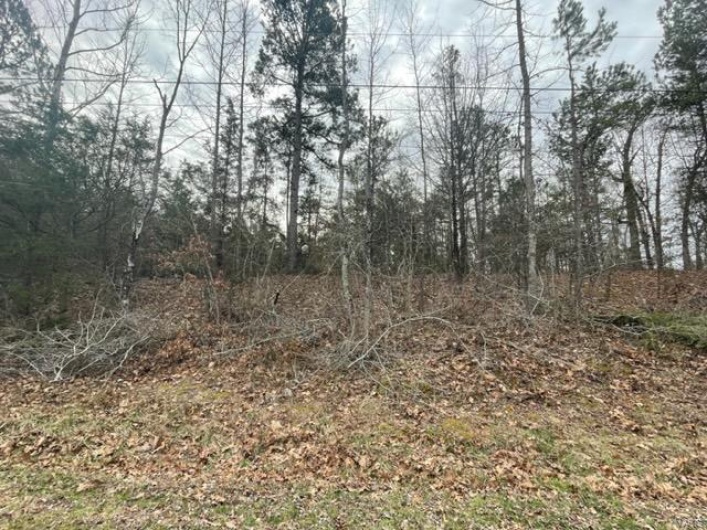 0 South Side of Ginger Street, Poplar Bluff, Missouri 63901, ,Land,For Sale,South Side of Ginger Street,MAR23012052