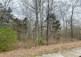 0 North Side of Ginger Street, Poplar Bluff, Missouri 63901, ,Land,For Sale,North Side of Ginger,MAR23012049