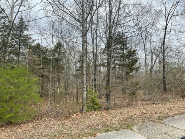 0 North Side of Ginger Street, Poplar Bluff, Missouri 63901, ,Land,For Sale,North Side of Ginger,MAR23012049
