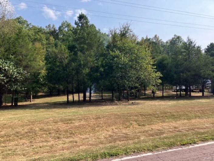 16472 State Hwy C, Annapolis, Missouri 63620, ,1 BathroomBathrooms,Farm,For Sale,State Hwy C,MAR24058414