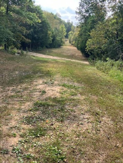 16472 State Hwy C, Annapolis, Missouri 63620, ,1 BathroomBathrooms,Farm,For Sale,State Hwy C,MAR24058414