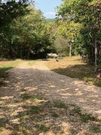 16472 State Hwy C, Annapolis, Missouri 63620, ,1 BathroomBathrooms,Farm,For Sale,State Hwy C,MAR24058414