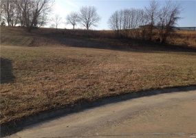 1533 Birchwood Court, Cape Girardeau, Missouri 63701, ,Land,For Sale,Birchwood,MAR19011066
