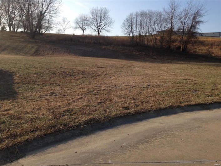 1533 Birchwood Court, Cape Girardeau, Missouri 63701, ,Land,For Sale,Birchwood,MAR19011066