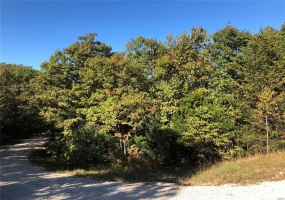 0 Rue De La Paix, Bonne Terre, Missouri 63628, ,Land,For Sale,Rue De La Paix,MAR24058585