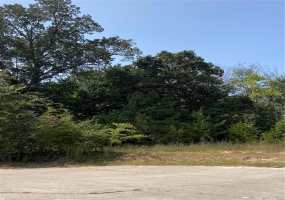 18 Brownwood Trails, Poplar Bluff, Missouri 63901, ,Land,For Sale,Brownwood Trails,MAR24058148