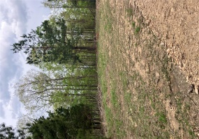 29 Madison CR 410, Fredericktown, Missouri 63645, ,Farm,For Sale,Madison CR 410,MAR24058993