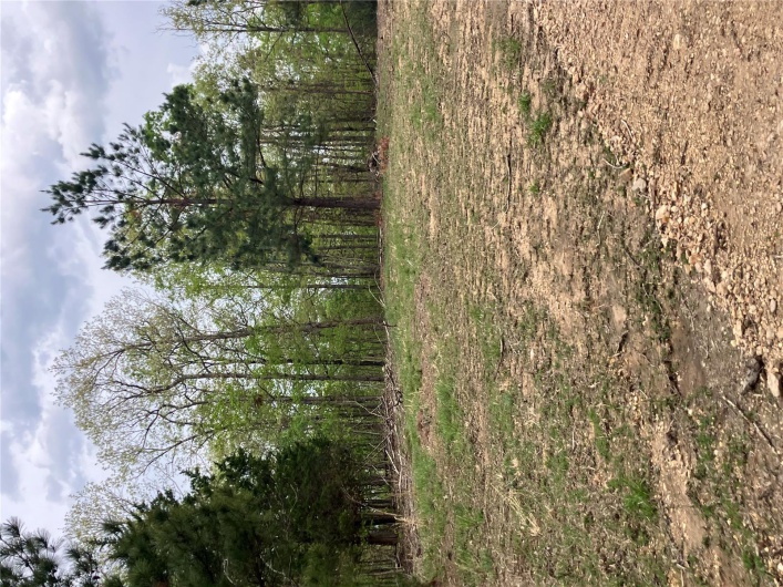 29 Madison CR 410, Fredericktown, Missouri 63645, ,Farm,For Sale,Madison CR 410,MAR24058993