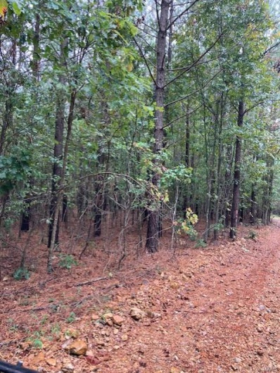 29 Madison CR 410, Fredericktown, Missouri 63645, ,Farm,For Sale,Madison CR 410,MAR24058993