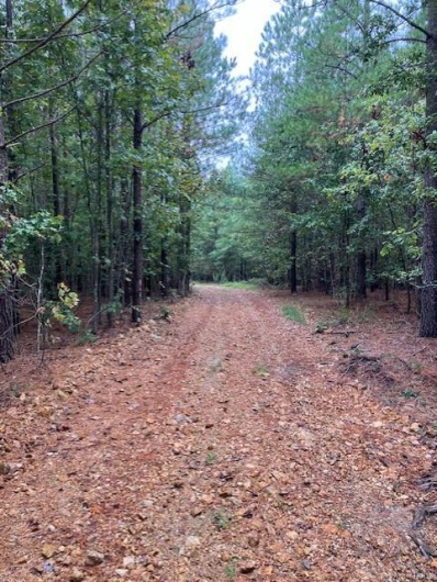 29 Madison CR 410, Fredericktown, Missouri 63645, ,Farm,For Sale,Madison CR 410,MAR24058993