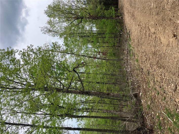 29 Madison CR 410, Fredericktown, Missouri 63645, ,Farm,For Sale,Madison CR 410,MAR24058993