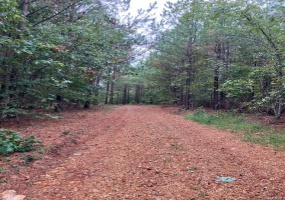 28 Madison CR 410, Fredericktown, Missouri 63645, ,Farm,For Sale,Madison CR 410,MAR24058970
