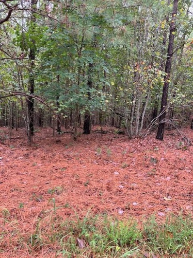 28 Madison CR 410, Fredericktown, Missouri 63645, ,Farm,For Sale,Madison CR 410,MAR24058970