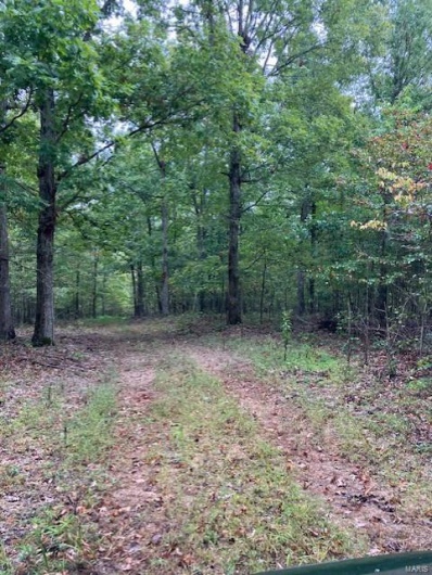 30 Madison CR 410, Fredericktown, Missouri 63645, ,Farm,For Sale,Madison CR 410,MAR24058995