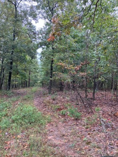 30 Madison CR 410, Fredericktown, Missouri 63645, ,Farm,For Sale,Madison CR 410,MAR24058995