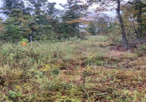 32 Madison CR 410, Fredericktown, Missouri 63645, ,Farm,For Sale,Madison CR 410,MAR24059002