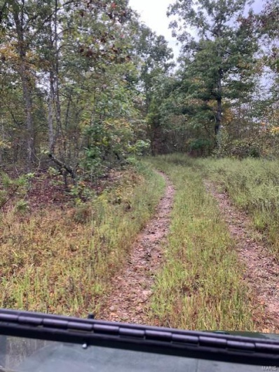 32 Madison CR 410, Fredericktown, Missouri 63645, ,Farm,For Sale,Madison CR 410,MAR24059002