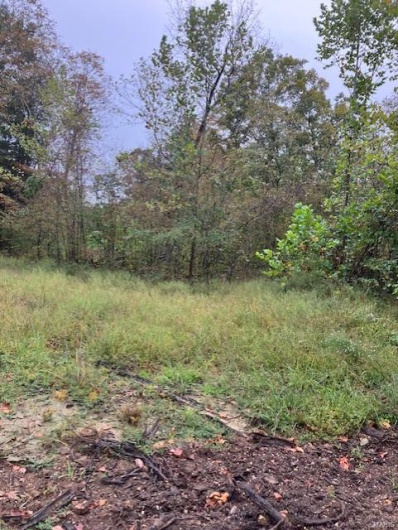 33 Madison CR 410, Fredericktown, Missouri 63645, ,Farm,For Sale,Madison CR 410,MAR24059003