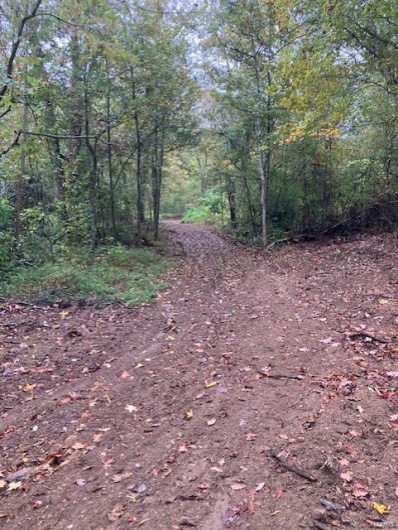33 Madison CR 410, Fredericktown, Missouri 63645, ,Farm,For Sale,Madison CR 410,MAR24059003