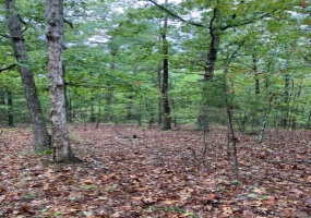 34 Madison CR 410, Fredericktown, Missouri 63645, ,Farm,For Sale,Madison CR 410,MAR24059004