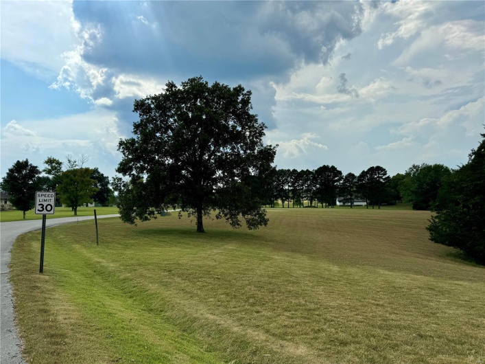 0 David Drive, Poplar Bluff, Missouri 63901, ,Land,For Sale,David,MAR24058980