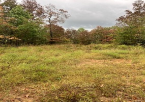 43 Madison CR 410, Fredericktown, Missouri 63645, ,Farm,For Sale,Madison CR 410,MAR24059034