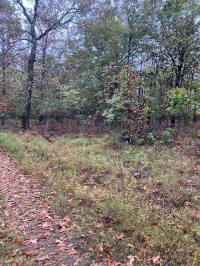 43 Madison CR 410, Fredericktown, Missouri 63645, ,Farm,For Sale,Madison CR 410,MAR24059034