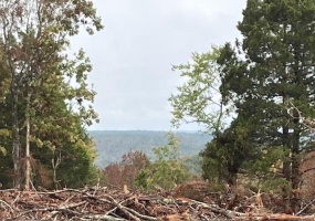 46 Madison CR 410, Fredericktown, Missouri 63645, ,Farm,For Sale,Madison CR 410,MAR24059036