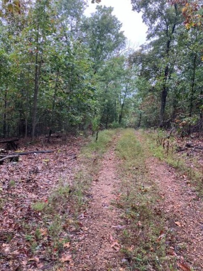 44 Madison CR 410, Fredericktown, Missouri 63645, ,Farm,For Sale,Madison CR 410,MAR24059035