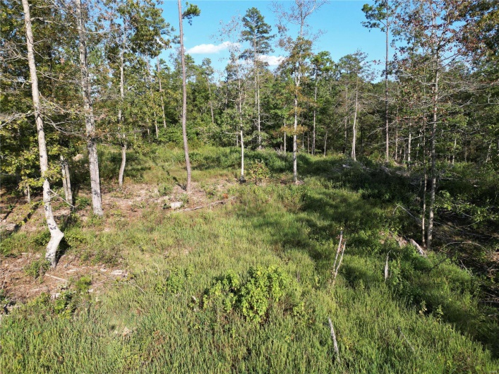 2 Madison County CR 410, Fredericktown, Missouri 63645, ,Farm,For Sale,Madison County CR 410,MAR24059131