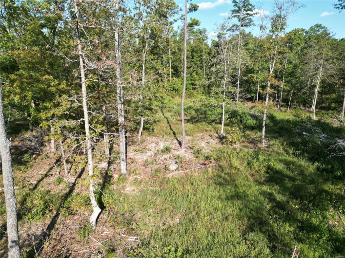 2 Madison County CR 410, Fredericktown, Missouri 63645, ,Farm,For Sale,Madison County CR 410,MAR24059131