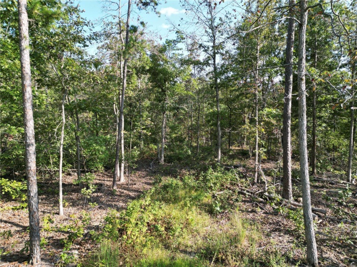 2 Madison County CR 410, Fredericktown, Missouri 63645, ,Farm,For Sale,Madison County CR 410,MAR24059131