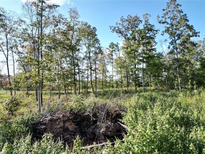 2 Madison County CR 410, Fredericktown, Missouri 63645, ,Farm,For Sale,Madison County CR 410,MAR24059131