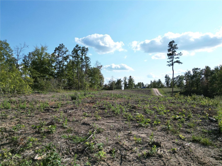 2 Madison County CR 410, Fredericktown, Missouri 63645, ,Farm,For Sale,Madison County CR 410,MAR24059131