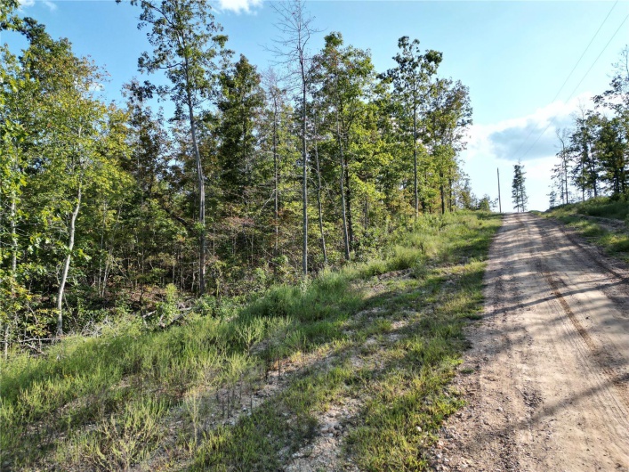 2 Madison County CR 410, Fredericktown, Missouri 63645, ,Farm,For Sale,Madison County CR 410,MAR24059131