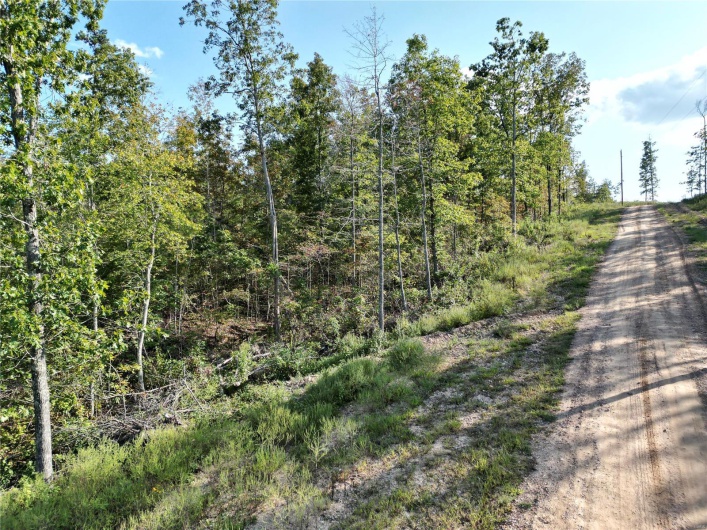 2 Madison County CR 410, Fredericktown, Missouri 63645, ,Farm,For Sale,Madison County CR 410,MAR24059131