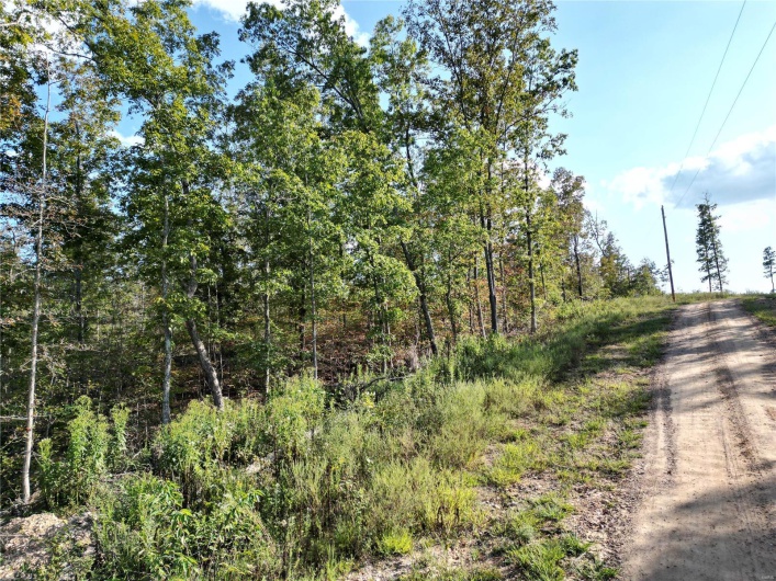2 Madison County CR 410, Fredericktown, Missouri 63645, ,Farm,For Sale,Madison County CR 410,MAR24059131
