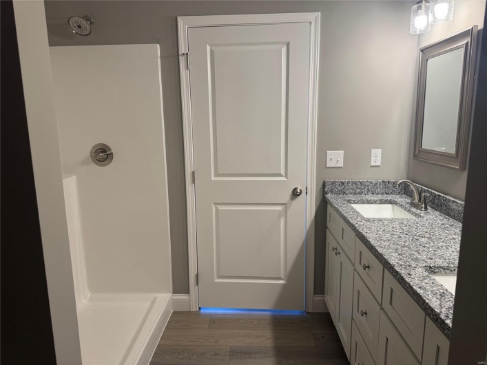 Bathroom with a shower, wood-type flooring, and vanity