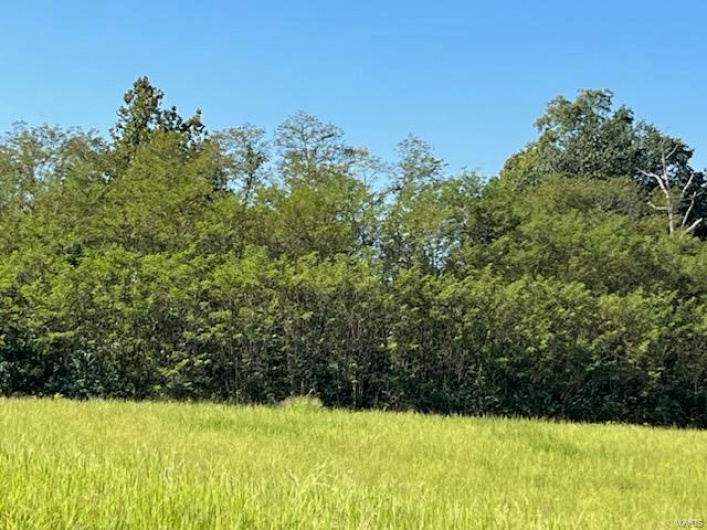 6 Lot Ridgefield Drive, Cape Girardeau, Missouri 63701, ,Land,For Sale,Lot Ridgefield,MAR24059977