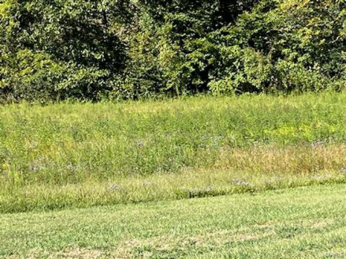 6 Lot Ridgefield Drive, Cape Girardeau, Missouri 63701, ,Land,For Sale,Lot Ridgefield,MAR24059977