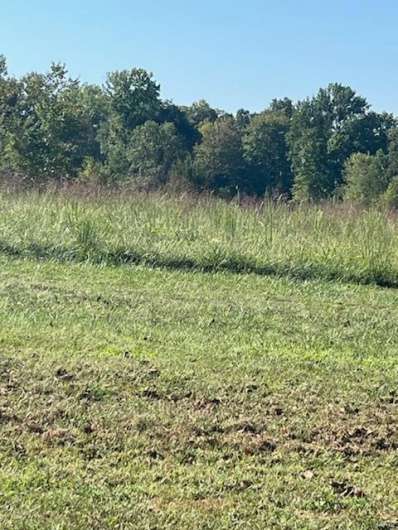 7 Lot Ridgefield Drive, Cape Girardeau, Missouri 63701, ,Land,For Sale,Lot Ridgefield,MAR24059987