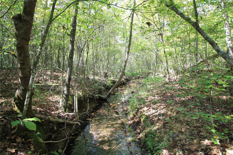 0 Madison CR 9421 (107), Fredericktown, Missouri 63645, ,Farm,For Sale,Madison CR 9421 (107),MAR24060547