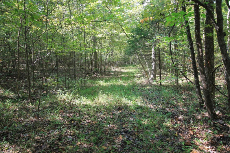 0 Madison CR 9421 (107), Fredericktown, Missouri 63645, ,Farm,For Sale,Madison CR 9421 (107),MAR24060547