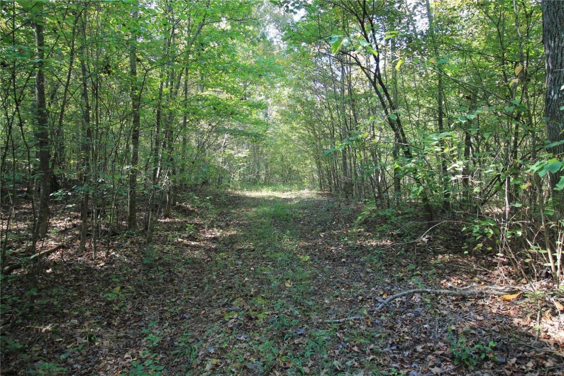 0 Madison CR 9421 (107), Fredericktown, Missouri 63645, ,Farm,For Sale,Madison CR 9421 (107),MAR24060547