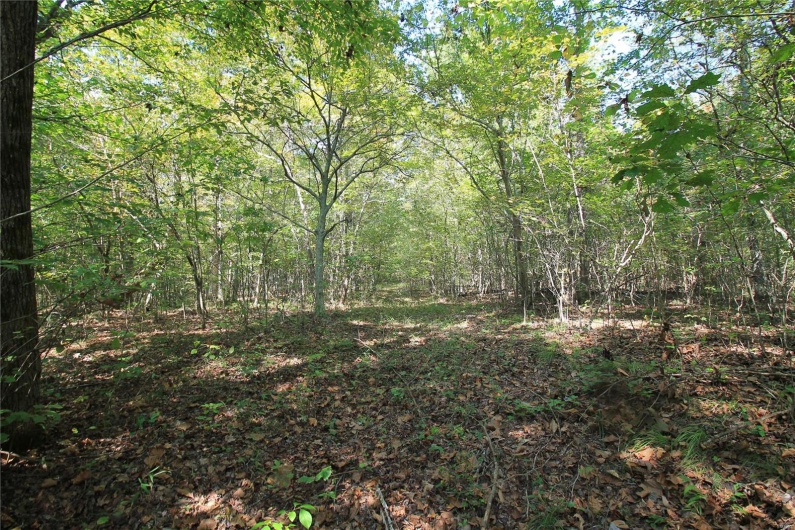 0 Madison CR 9421 (107), Fredericktown, Missouri 63645, ,Farm,For Sale,Madison CR 9421 (107),MAR24060547