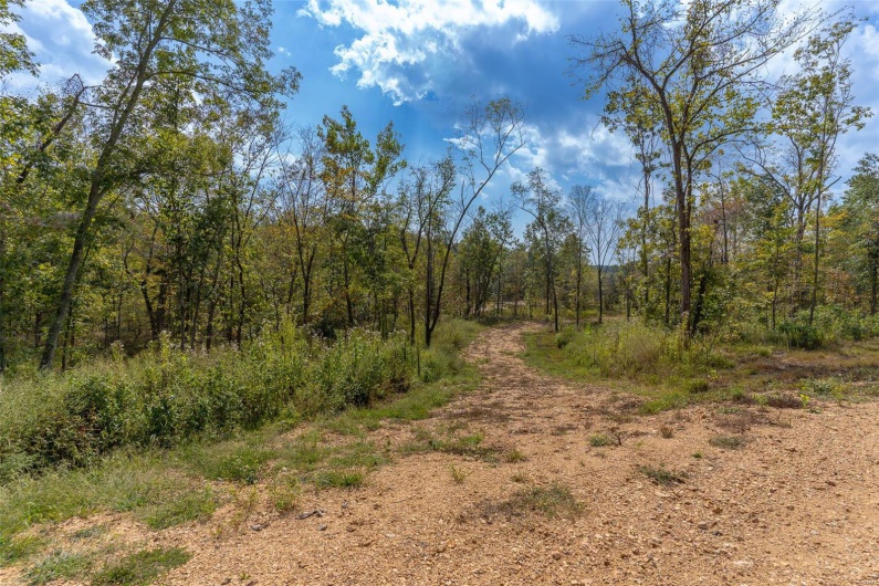 0 Madsion CR 410 (116), Fredericktown, Missouri 63645, ,Land,For Sale,Madsion CR 410 (116),MAR24060827