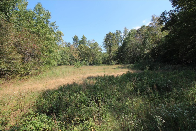 0 Madison CR 410 (108), Fredericktown, Missouri 63645, ,Farm,For Sale,Madison CR 410 (108),MAR24060864